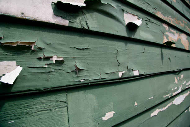 Best Custom Siding Design  in Marysville, WA