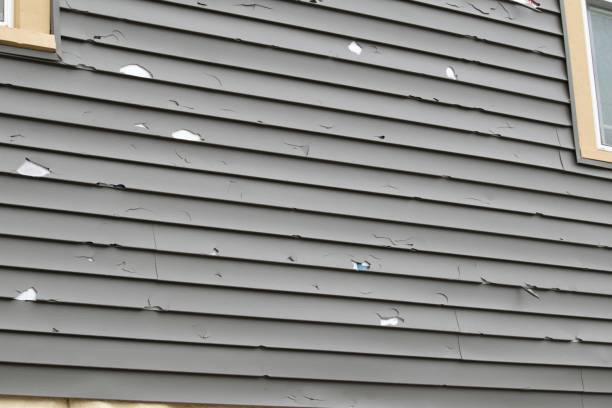Best Residential Vinyl Siding Installation  in Marysville, WA